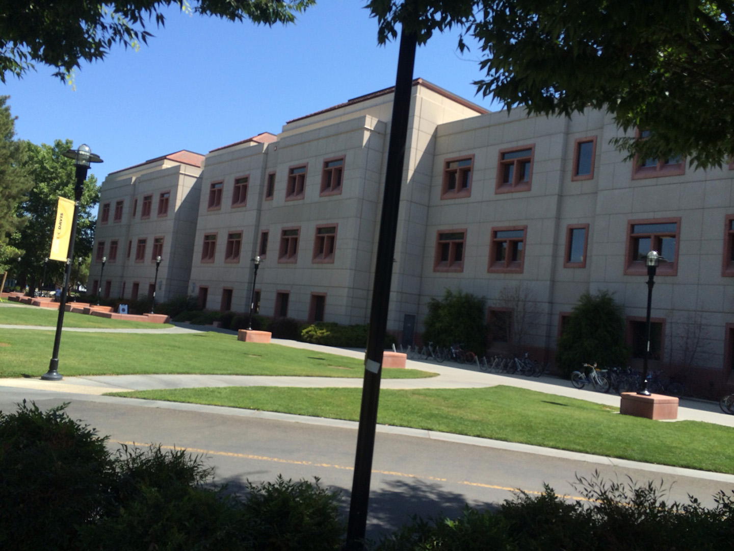 Texas subcontractor construction expert witness